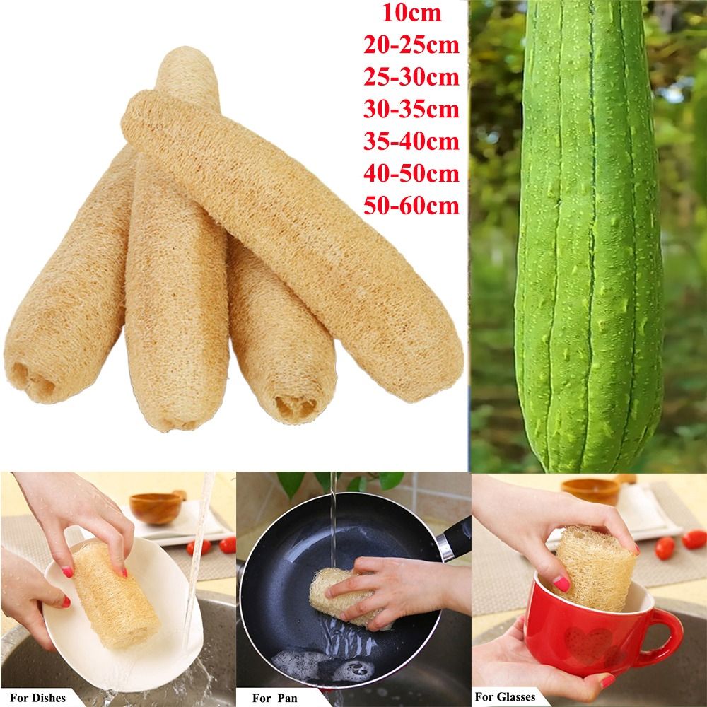 Natural Loofah Luffa Sponge No - Body Loofah Natural recension och pris