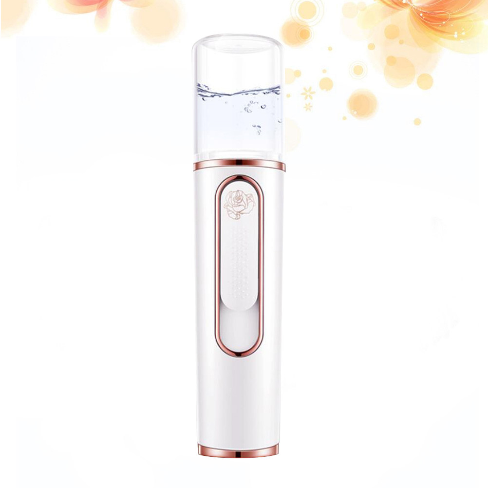 Mini Portable Facial Steamer A - Facial Steamer Nano recension och pris