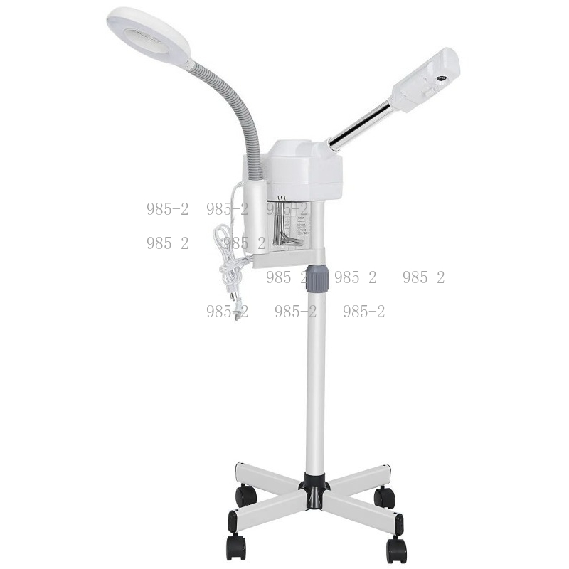 Multifunctional Beauty Care In - Facial Steamer Nano recension och pris