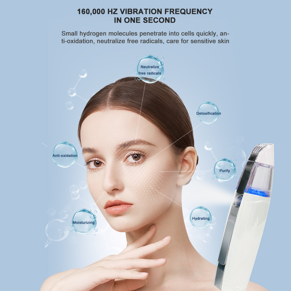 Hydrogen Spray Instrument Hand - Facial Steamer Nano recension och pris